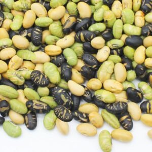 Protein Beans - Power Up Your Health