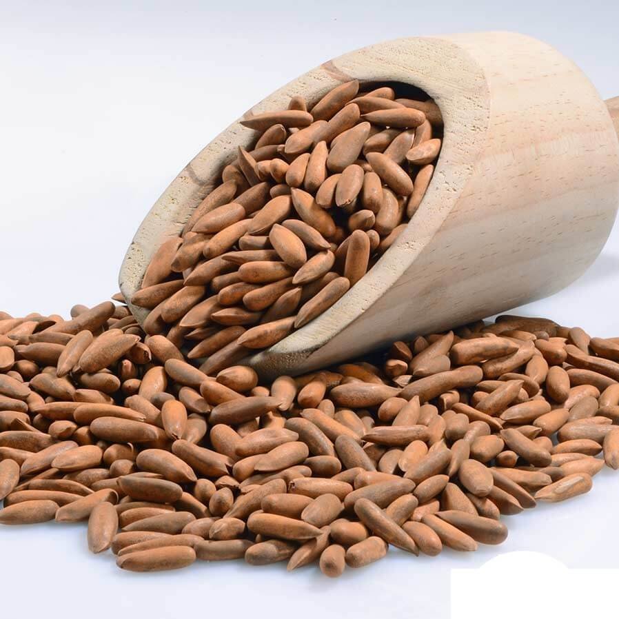 New subash dry fruits